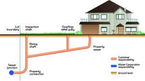 Free Plumbing Drainage Diagram